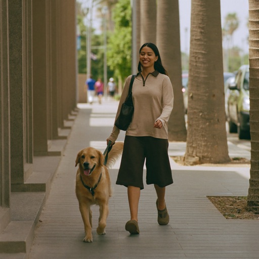 A dog walker walking a golden retriever on a leash along a palm-lined pavement